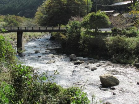 狩野川(狩野川漁業協同組合) 釣果