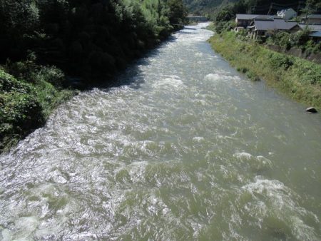 狩野川(狩野川漁業協同組合) 釣果
