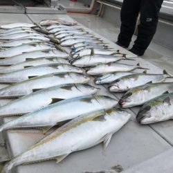 寿裕 （YOSHIHIRO） 釣果