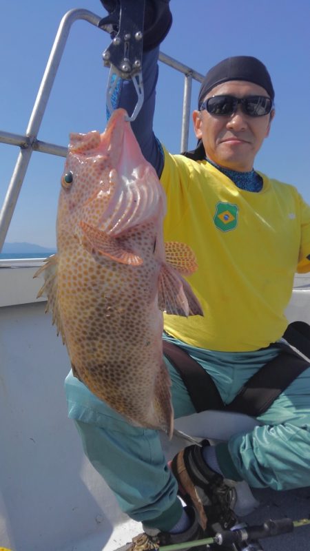 遊漁船 新鋭丸 釣果