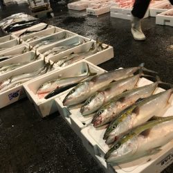 寿裕 （YOSHIHIRO） 釣果