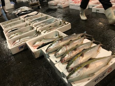 寿裕 （YOSHIHIRO） 釣果