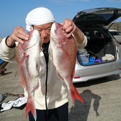 大進丸(新潟) 釣果