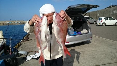 大進丸（新潟） 釣果