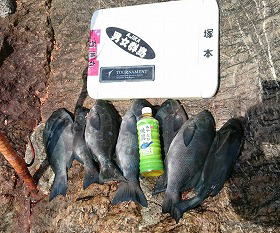 第八有漁丸 釣果