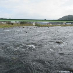 狩野川(狩野川漁業協同組合) 釣果