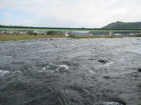 狩野川（狩野川漁業協同組合） 釣果