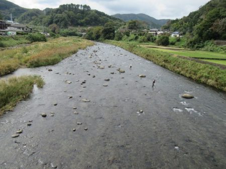 狩野川(狩野川漁業協同組合) 釣果