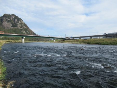 狩野川（狩野川漁業協同組合） 釣果