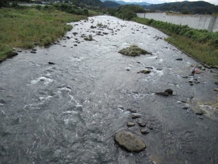 狩野川(狩野川漁業協同組合) 釣果