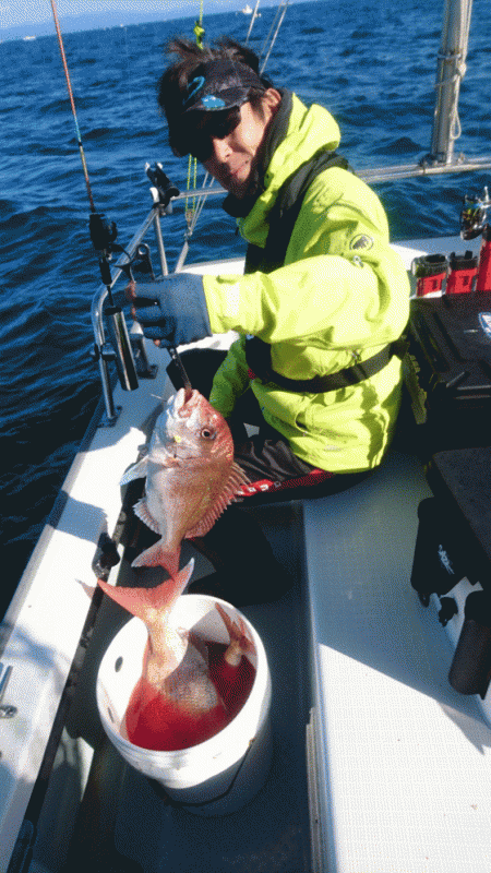 遊漁船ブルーウッズ 釣果