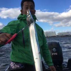 シーマジカル 釣果