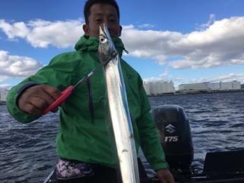 シーマジカル 釣果