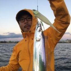 シーマジカル 釣果