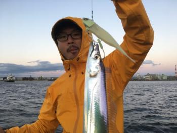 シーマジカル 釣果