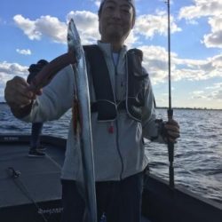 シーマジカル 釣果