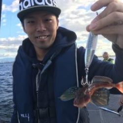 シーマジカル 釣果