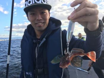 シーマジカル 釣果