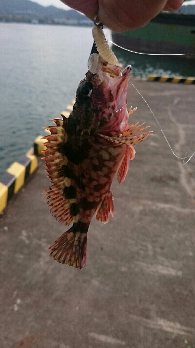 鳥羽市フェリーターミナル