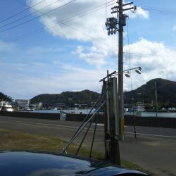 エギング&アジング