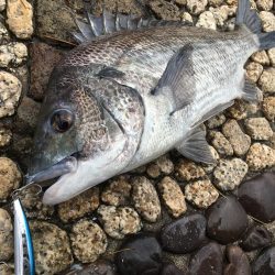 雨が止んだすきに…