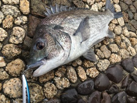 雨が止んだすきに…