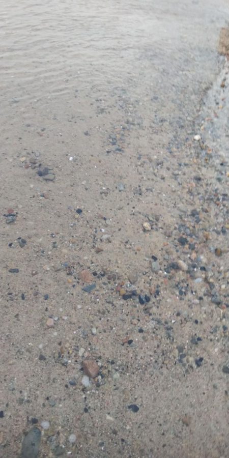 朝マズメエギング