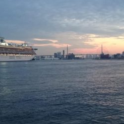 南港タチウオ渋い