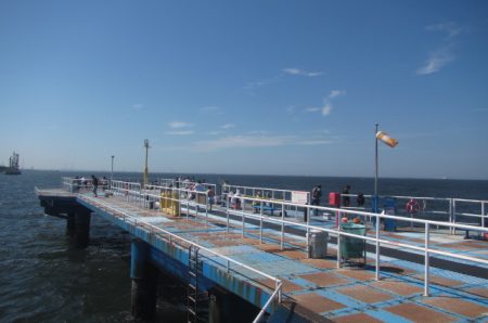 オリジナルメーカー海づり公園(市原市海づり施設) 釣果