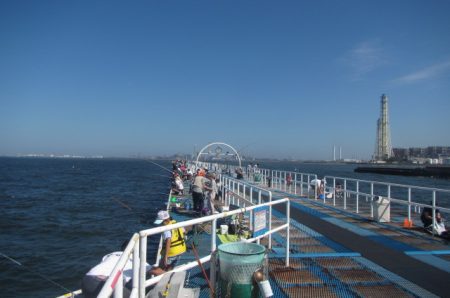 オリジナルメーカー海づり公園(市原市海づり施設) 釣果