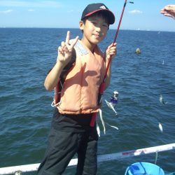 オリジナルメーカー海づり公園(市原市海づり施設) 釣果