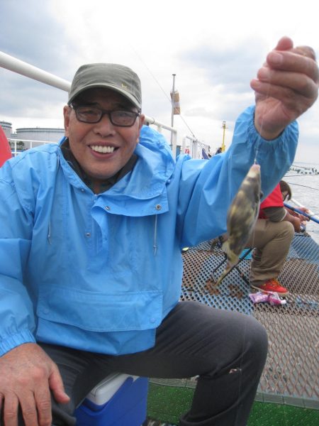 オリジナルメーカー海づり公園(市原市海づり施設) 釣果