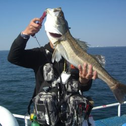 オリジナルメーカー海づり公園(市原市海づり施設) 釣果