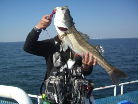 オリジナルメーカー海づり公園(市原市海づり施設) 釣果