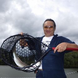 フィッシングレイクたかみや 釣果
