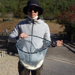 フィッシングレイクたかみや 釣果