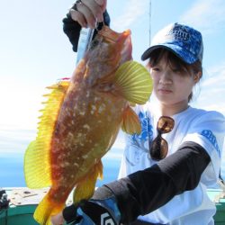 真祐丸 （しんゆうまる） 釣果