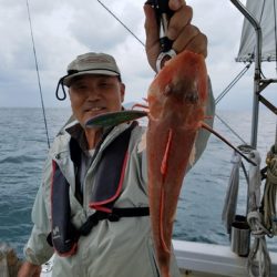 遊漁船 ニライカナイ 釣果