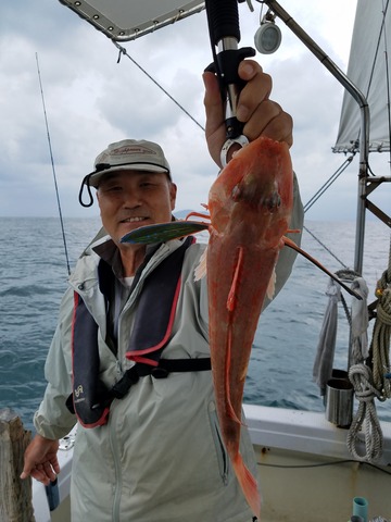 遊漁船 ニライカナイ 釣果