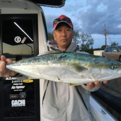ミタチ丸 釣果