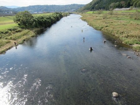狩野川(狩野川漁業協同組合) 釣果