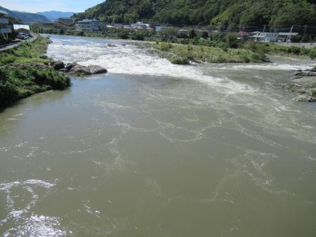 狩野川(狩野川漁業協同組合) 釣果