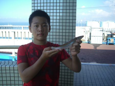 オリジナルメーカー海づり公園(市原市海づり施設) 釣果