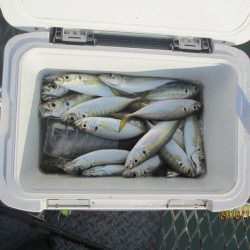 下関フィッシングパーク 釣果