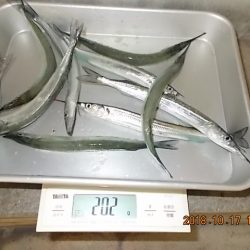 姫路市立遊魚センター 釣果