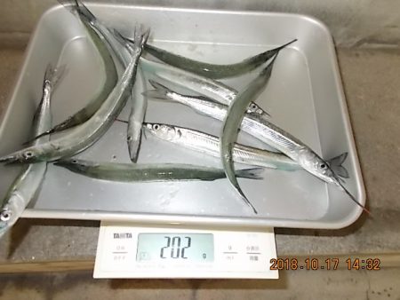 姫路市立遊魚センター 釣果