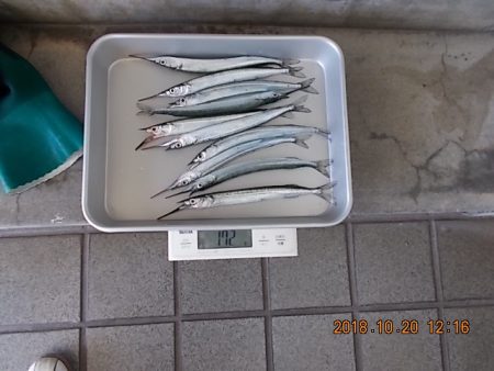 姫路市立遊魚センター 釣果