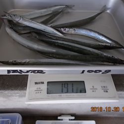 姫路市立遊魚センター 釣果