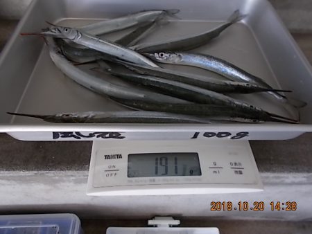 姫路市立遊魚センター 釣果