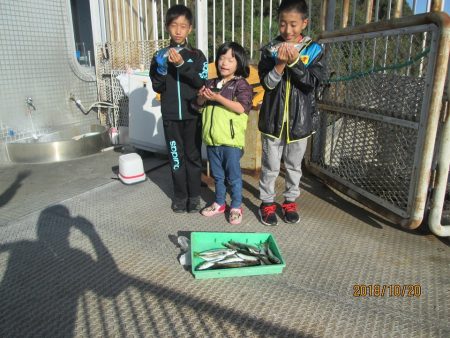 下関フィッシングパーク 釣果